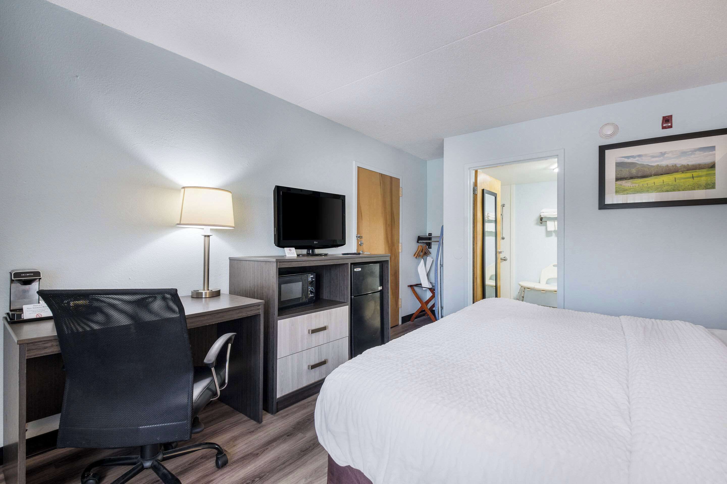 Une chambre d’hôtel avec un lit, un bureau, une chaise, une télévision et un tableau au mur.