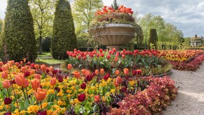 A garden with a variety of flowers, including tulips and other colorful blooms, arranged in a formal layout with a central ornamental planter. - Danubius Hotel Regents Park (London)