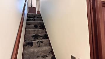 Escada revestida com carpete, com corrimão, porta de madeira e interruptor de luz na parede.