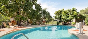 The Palms Inn & Suites