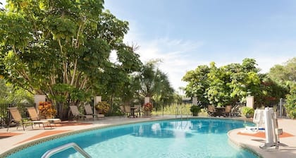 The Palms Inn & Suites