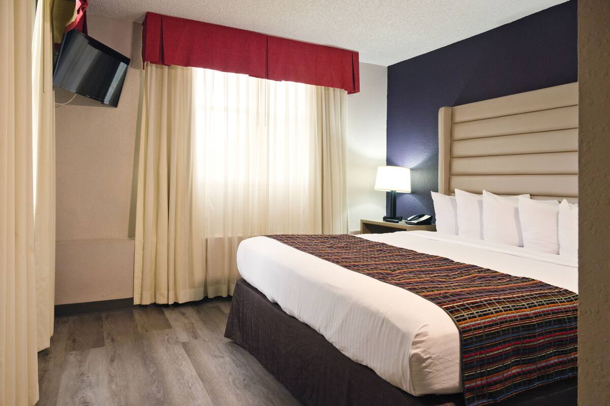 A hotel room with a large bed, a flat-screen TV mounted on the wall, a bedside table with a lamp, and a window with curtains.