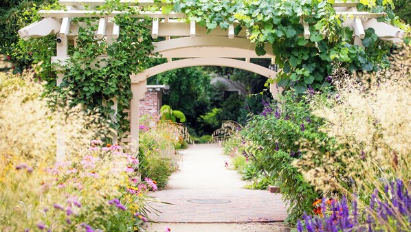 A garden pathway with a pergola covered in greenery, leading to a brick building.
