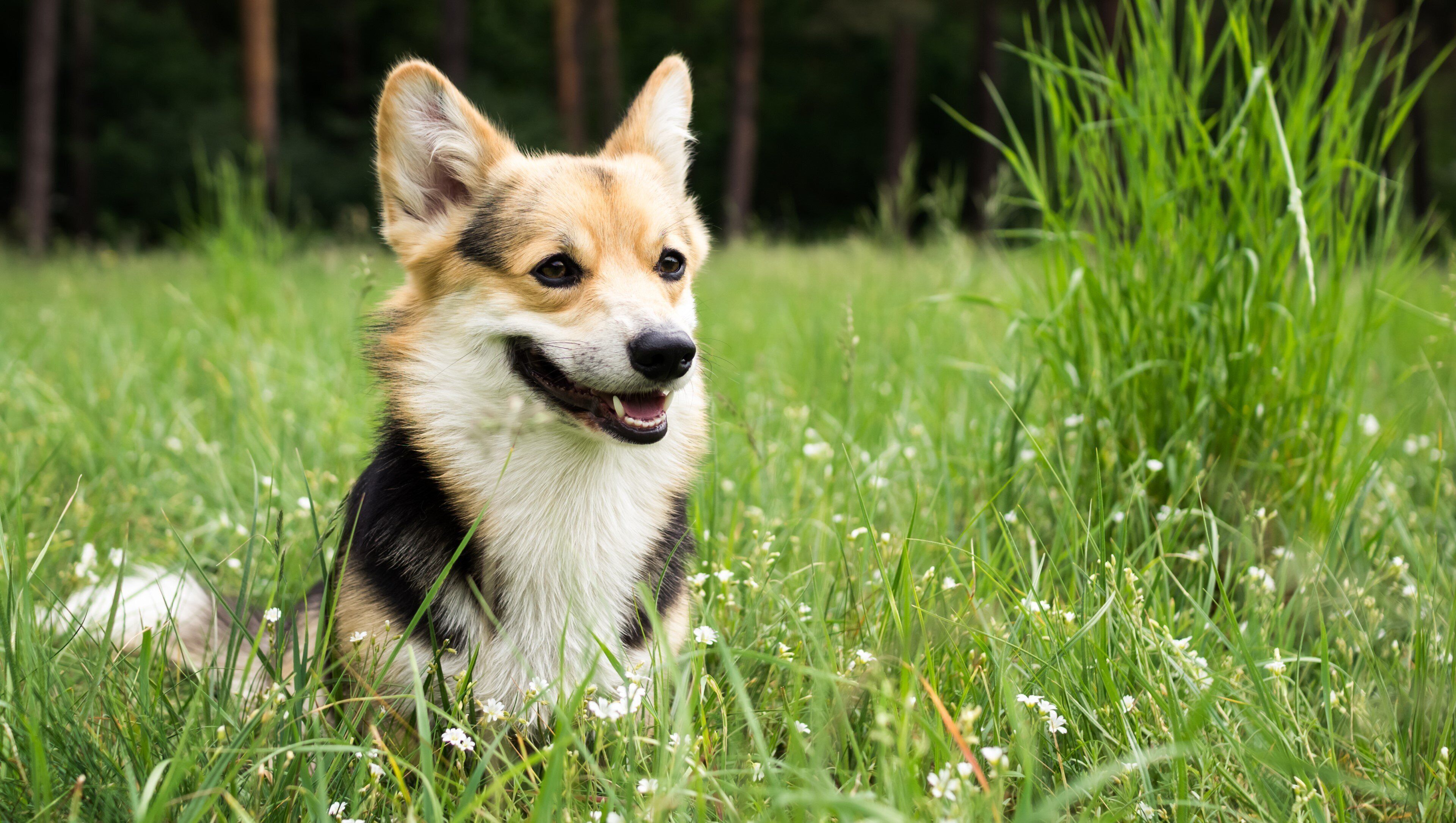 Photo - Leland Hotel Palo Alto
