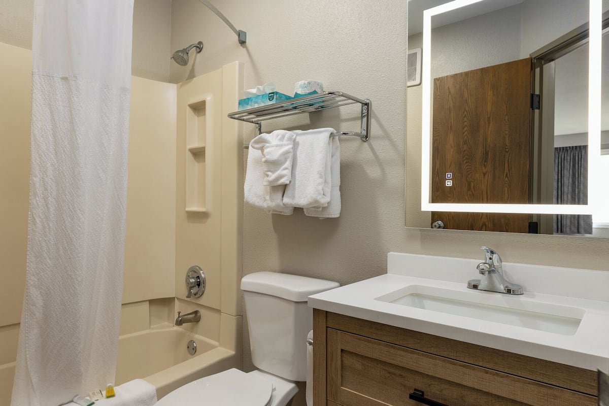 eco-friendly toiletries, hair dryer, towels, soap