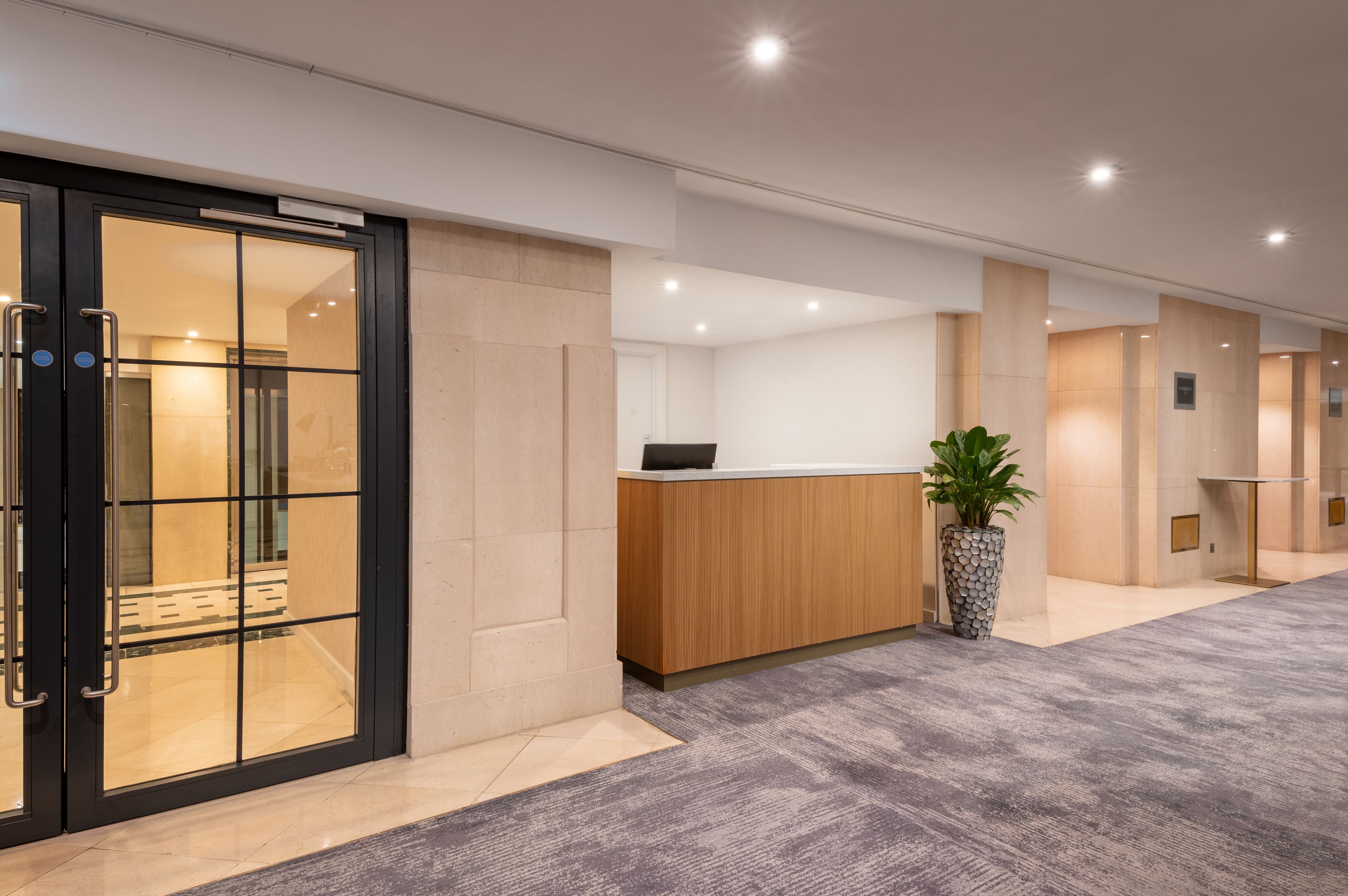 A modern reception area with a reception desk, a potted plant, and a glass door entrance.