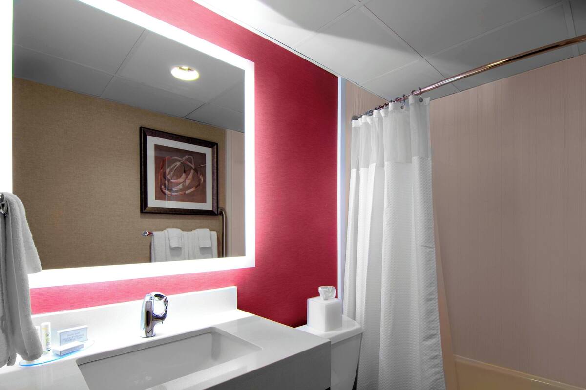 combined shower/bathtub, free toiletries, hair dryer, towels