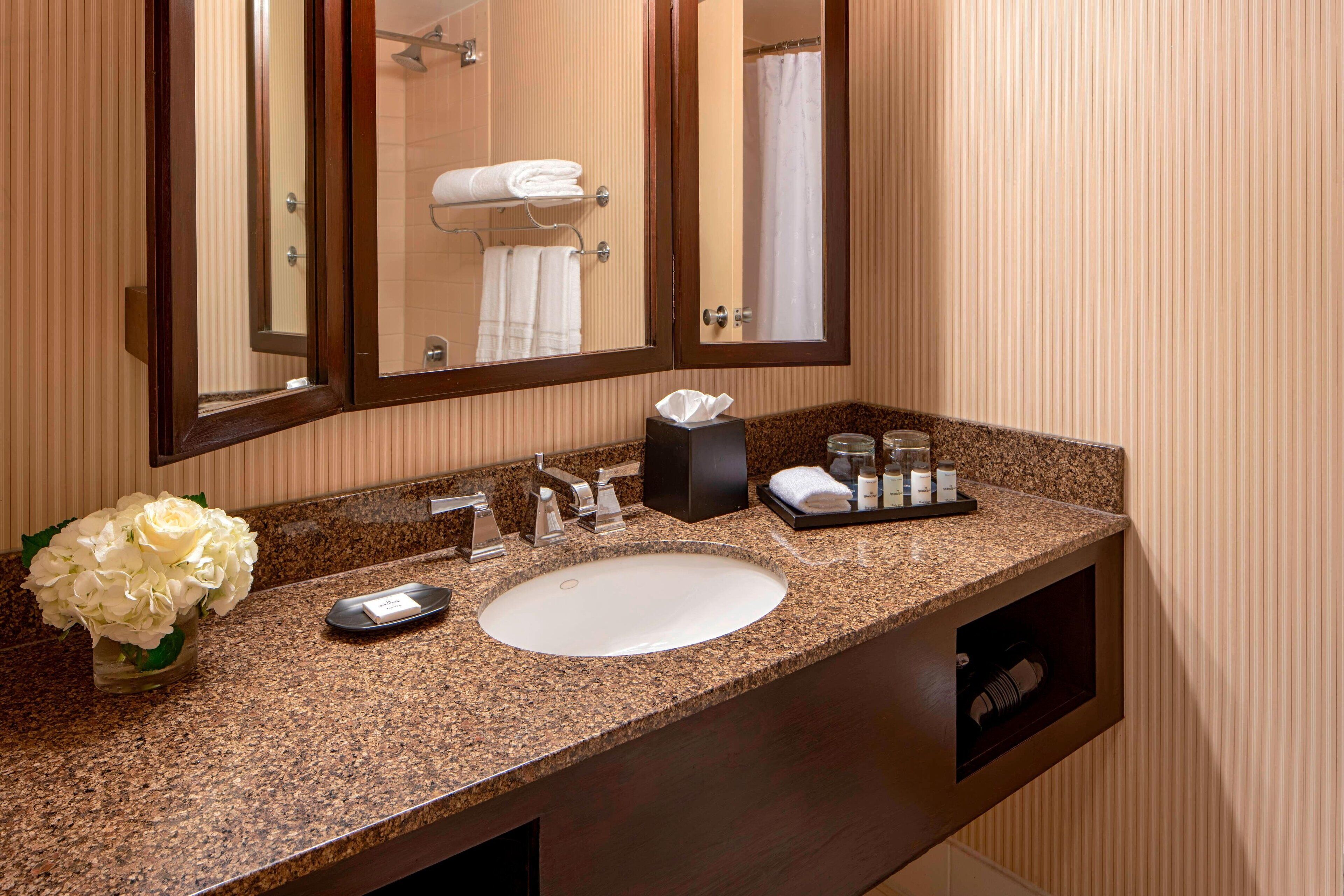 Foto - Sheraton Houston Brookhollow Hotel