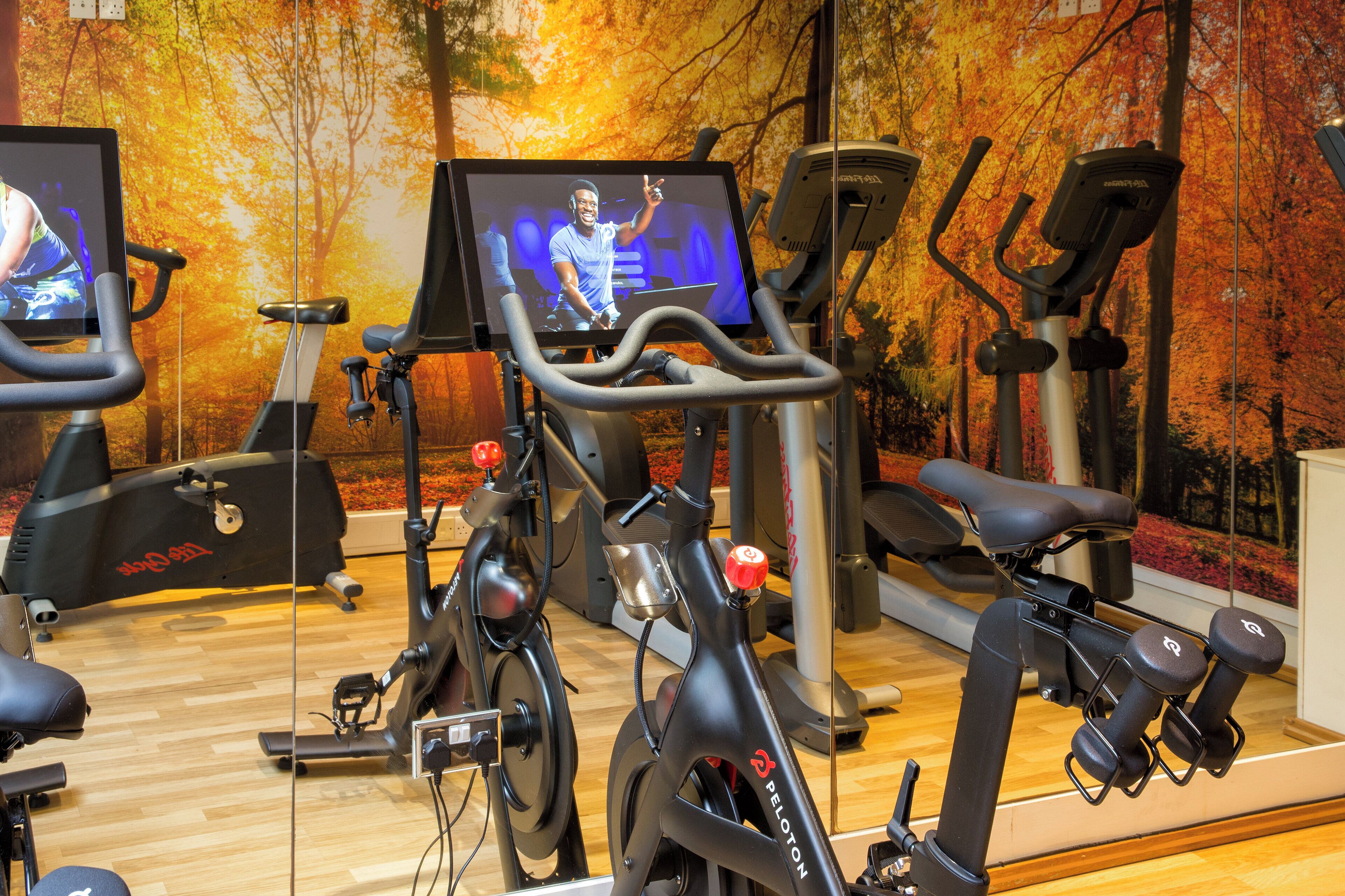Un gimnasio con bicicletas estáticas, una cinta de correr y un espejo que refleja el equipo.