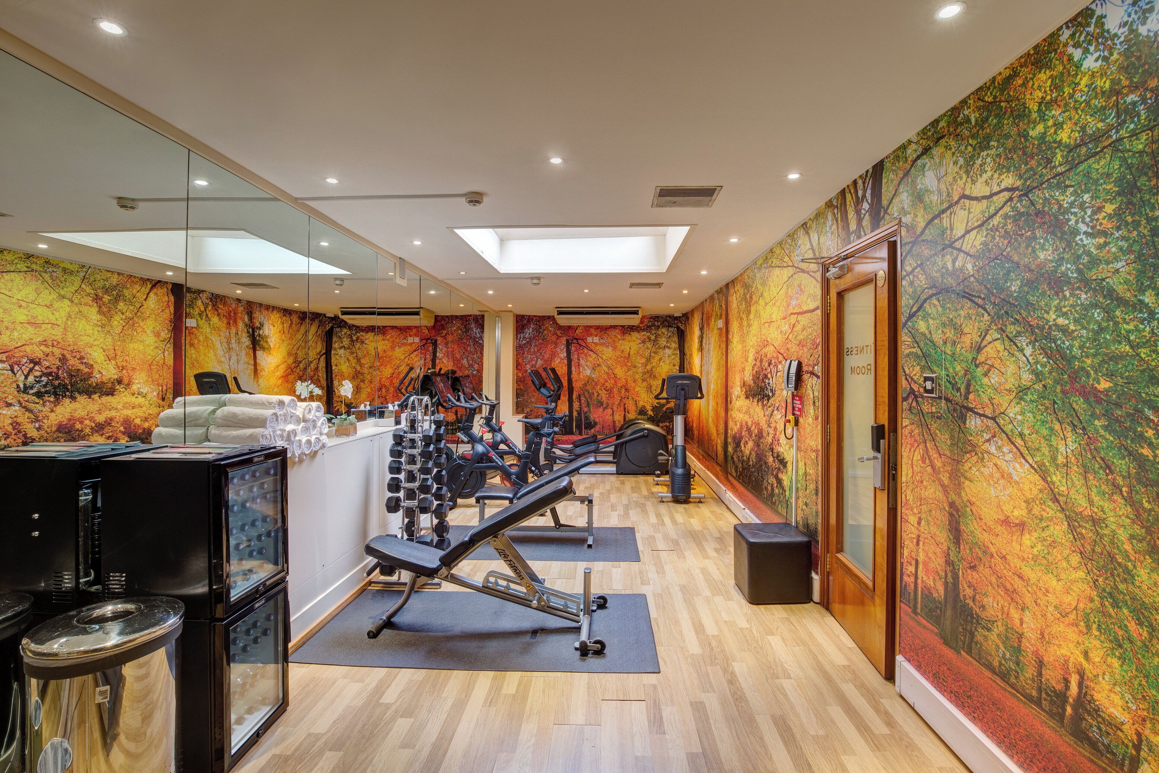 Un gimnasio con equipamiento de ejercicio, una recepción y un mural de hojas otoñales en la pared.