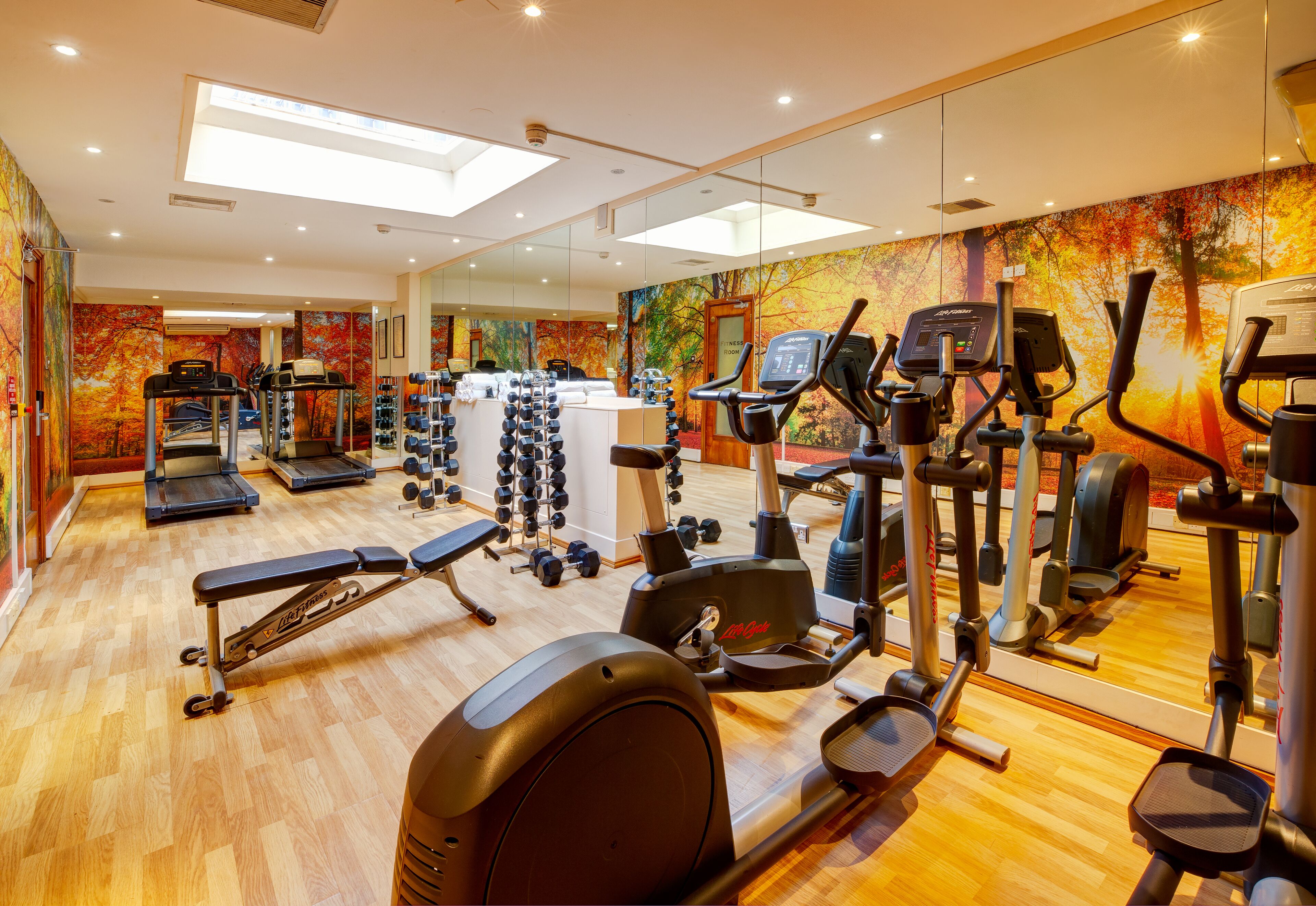 A gym with treadmills, elliptical machines, and free weights.