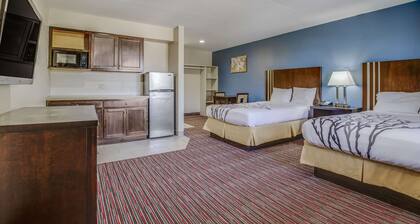 Econo Lodge Inn & Suites