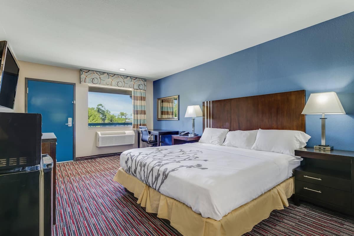Quarto de hotel com uma cama grande, duas mesas de cabeceira com luminárias, uma escrivaninha com uma cadeira, uma televisão e uma janela com vista para o verde.