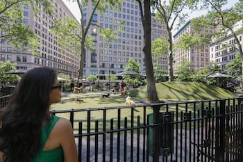 Point of interest at The Evelyn Hotel