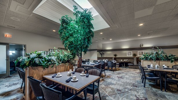 Un amplio comedor interior con varias mesas y sillas, un árbol artificial grande y varias plantas en macetas.