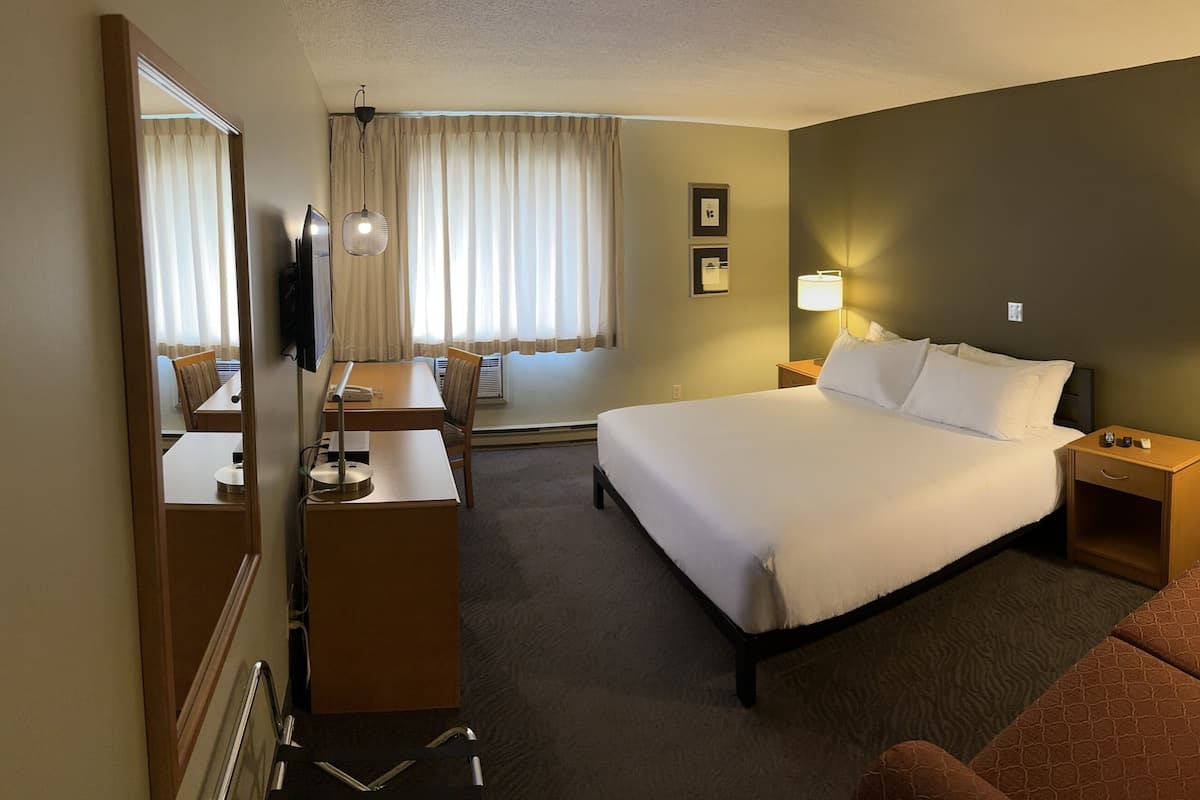 Standard Room, 1 King Bed | Desk, laptop workspace, blackout drapes, iron/ironing board
