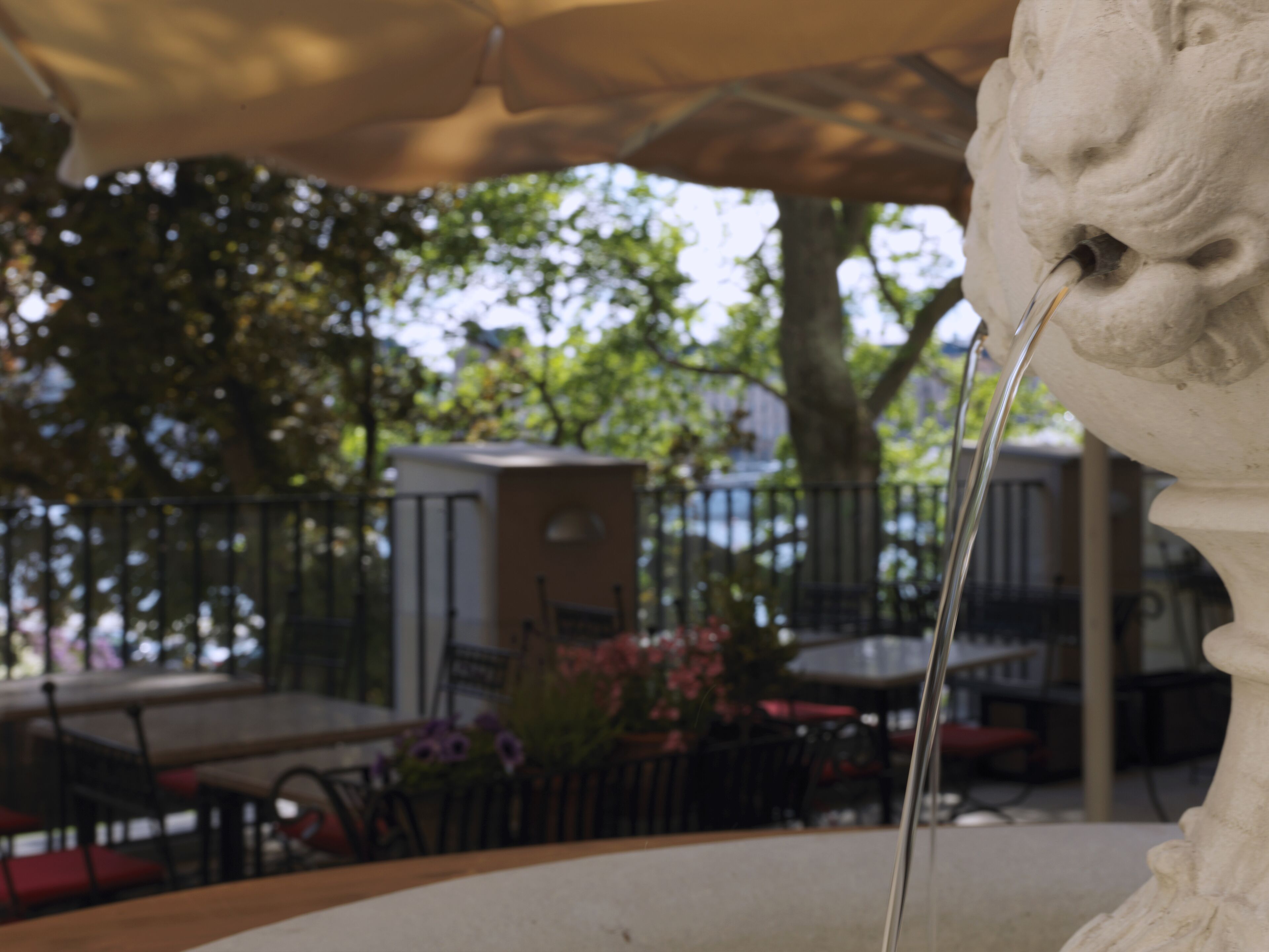 breakfast, lunch, dinner served; international cuisine, garden views