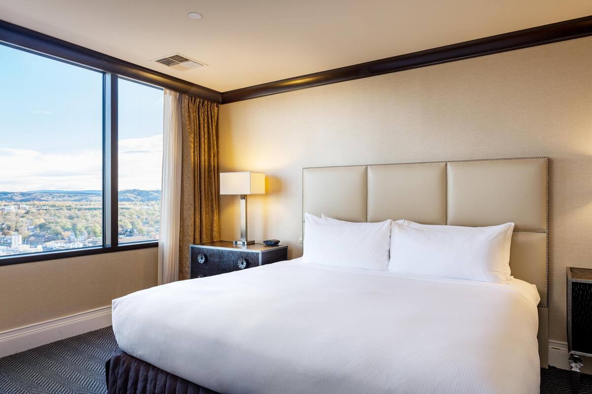 A hotel room with a large bed, a nightstand, a lamp, and a view of the city through a large window.