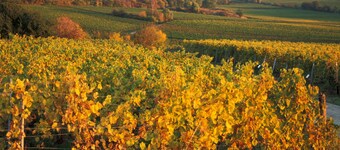 Mercure Bad Duerkheim an den Salinen