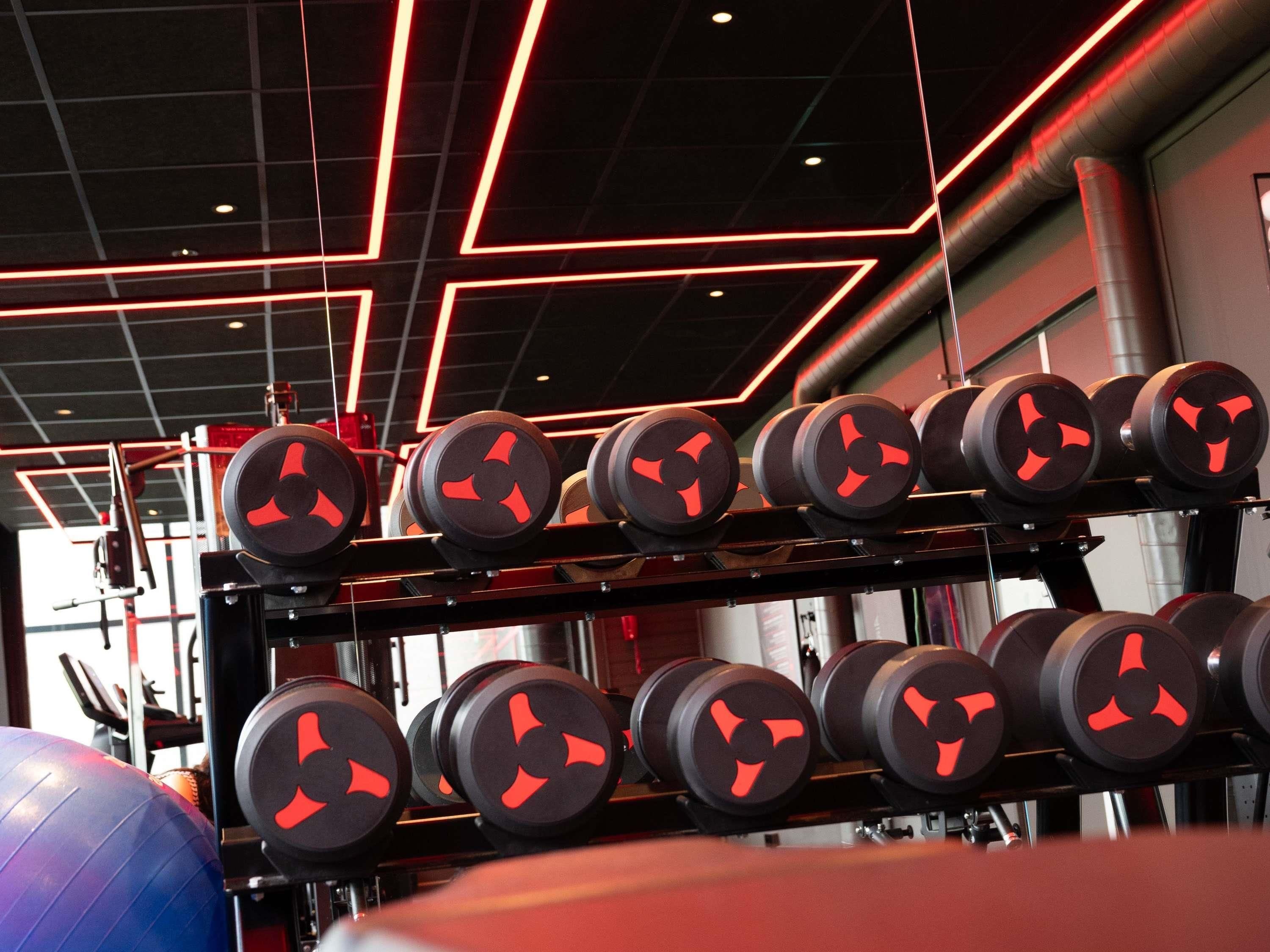 A gym with a rack of dumbbells and a blue exercise ball.