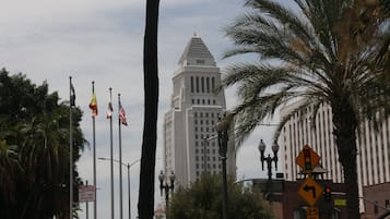 Vue depuis l’hébergement