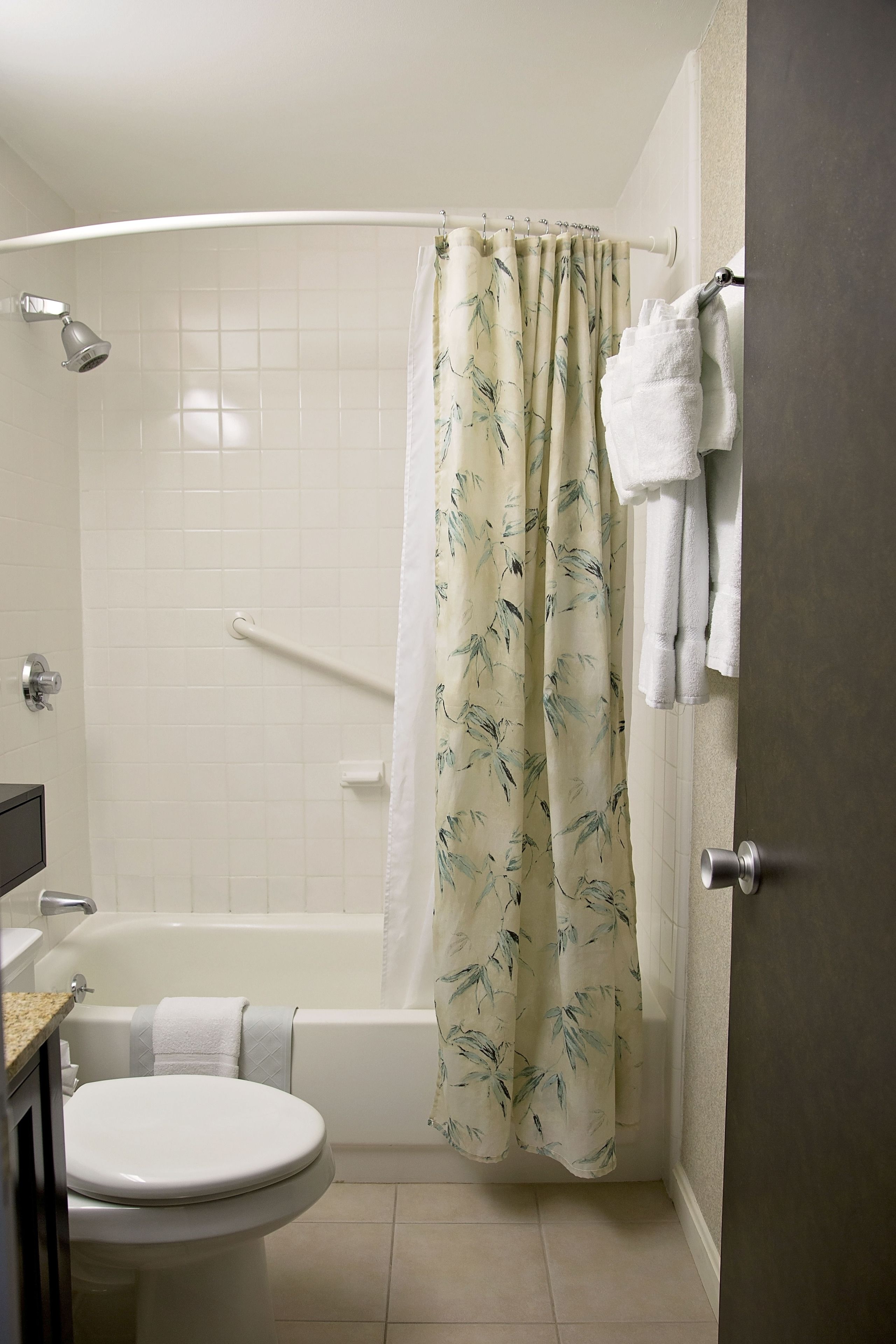 combined shower/bathtub, free toiletries, hair dryer, towels