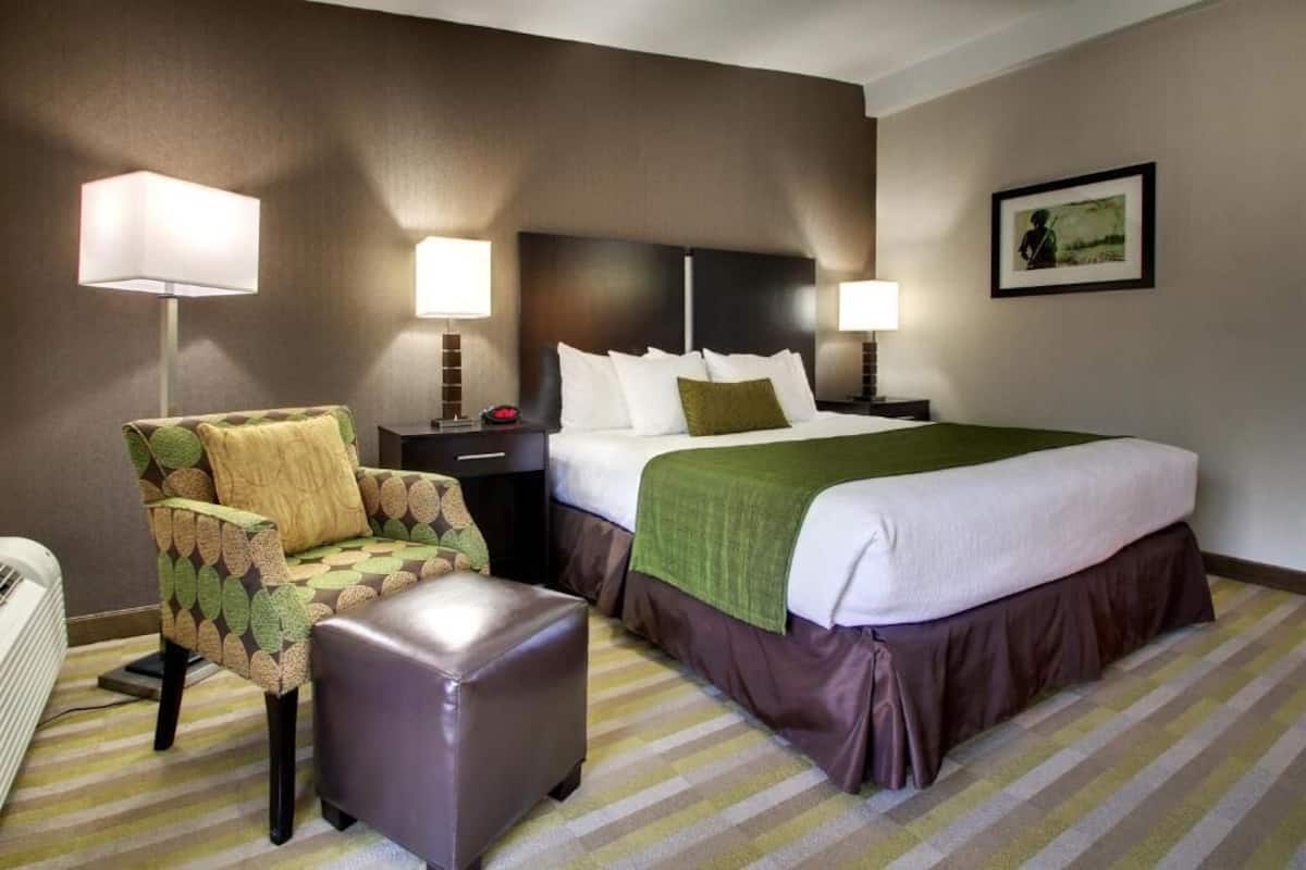 Room, 1 Queen Bed | In-room safe, laptop workspace, blackout curtains, iron/ironing board
