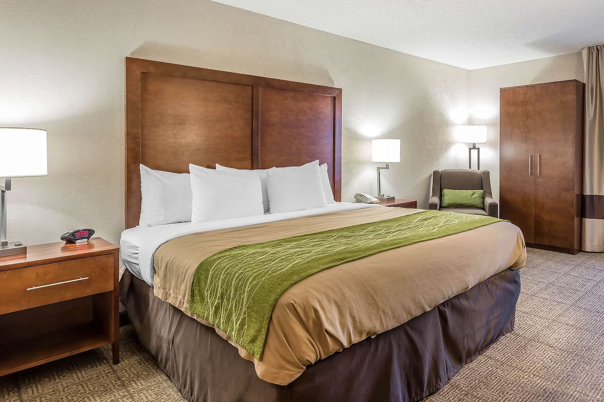 Standard Room, 1 King Bed, Non Smoking | Desk, laptop workspace, blackout drapes, iron/ironing board