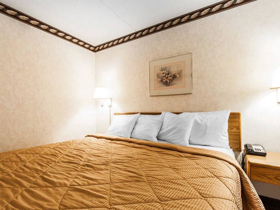 Una cama bien hecha con cubrecama acolchada, una lámpara de noche y una obra de arte enmarcada en la pared.