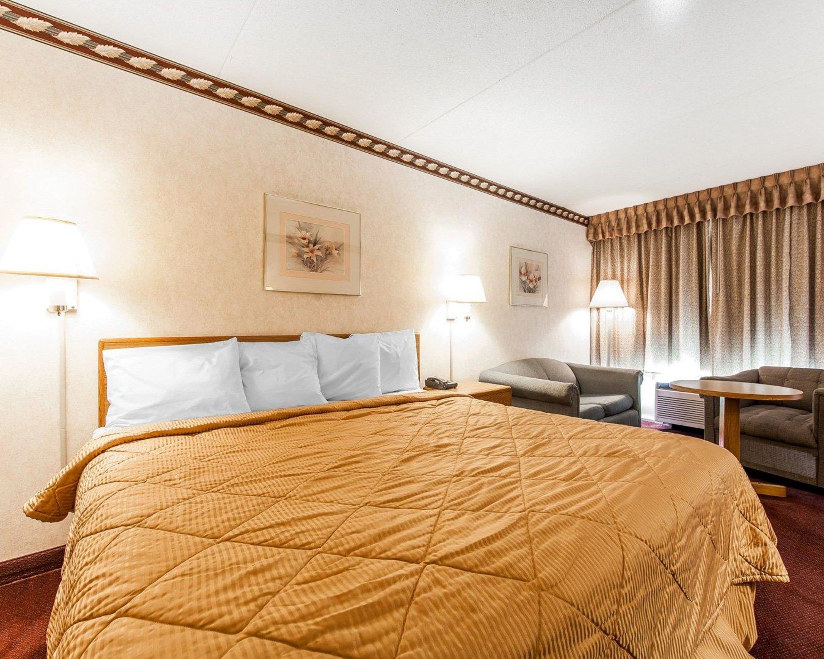 Standard Room, 1 King Bed, Non Smoking | Iron/ironing board, free WiFi, bed sheets