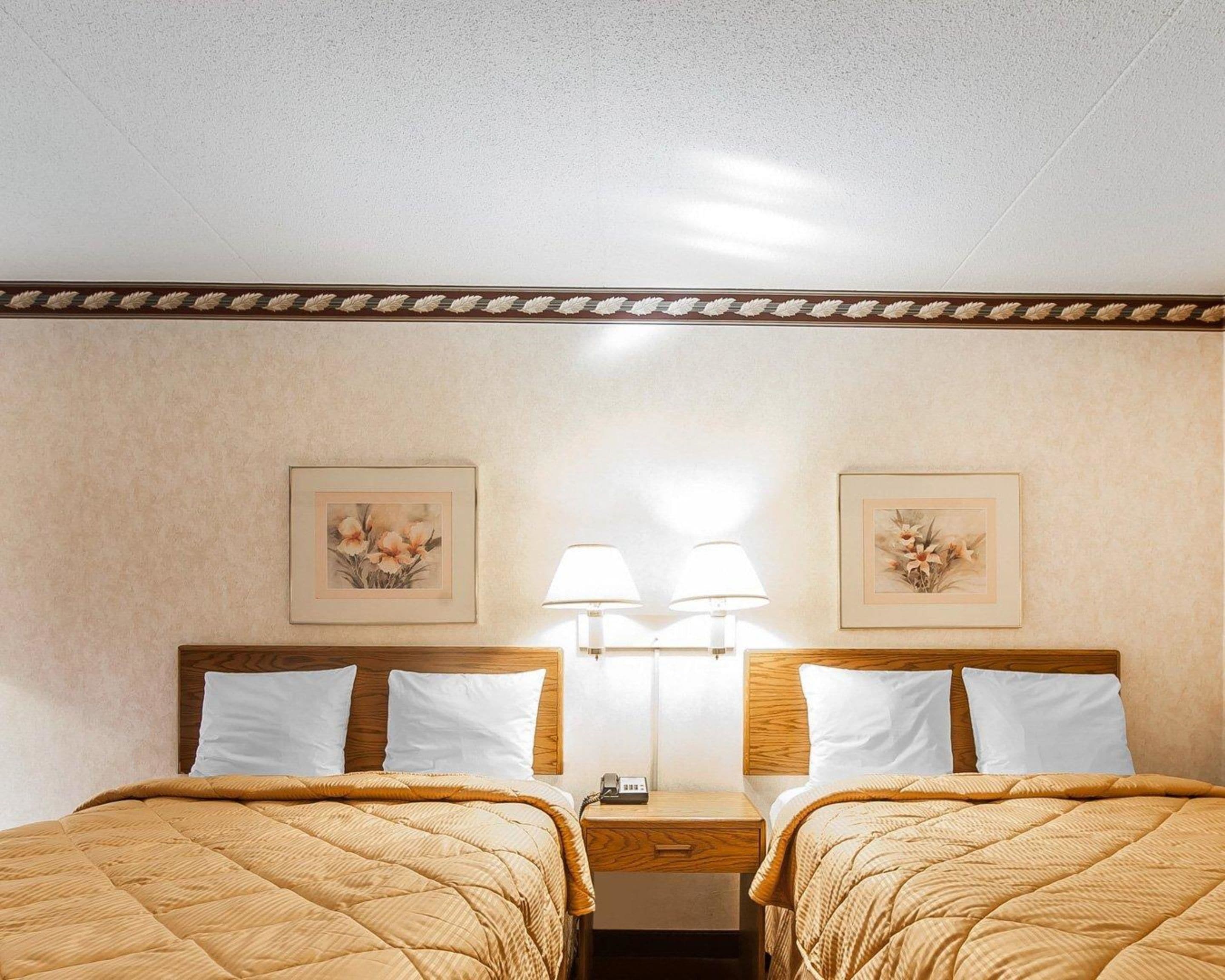 A hotel room with two beds, a nightstand, a lamp, and two framed floral pictures on the wall.