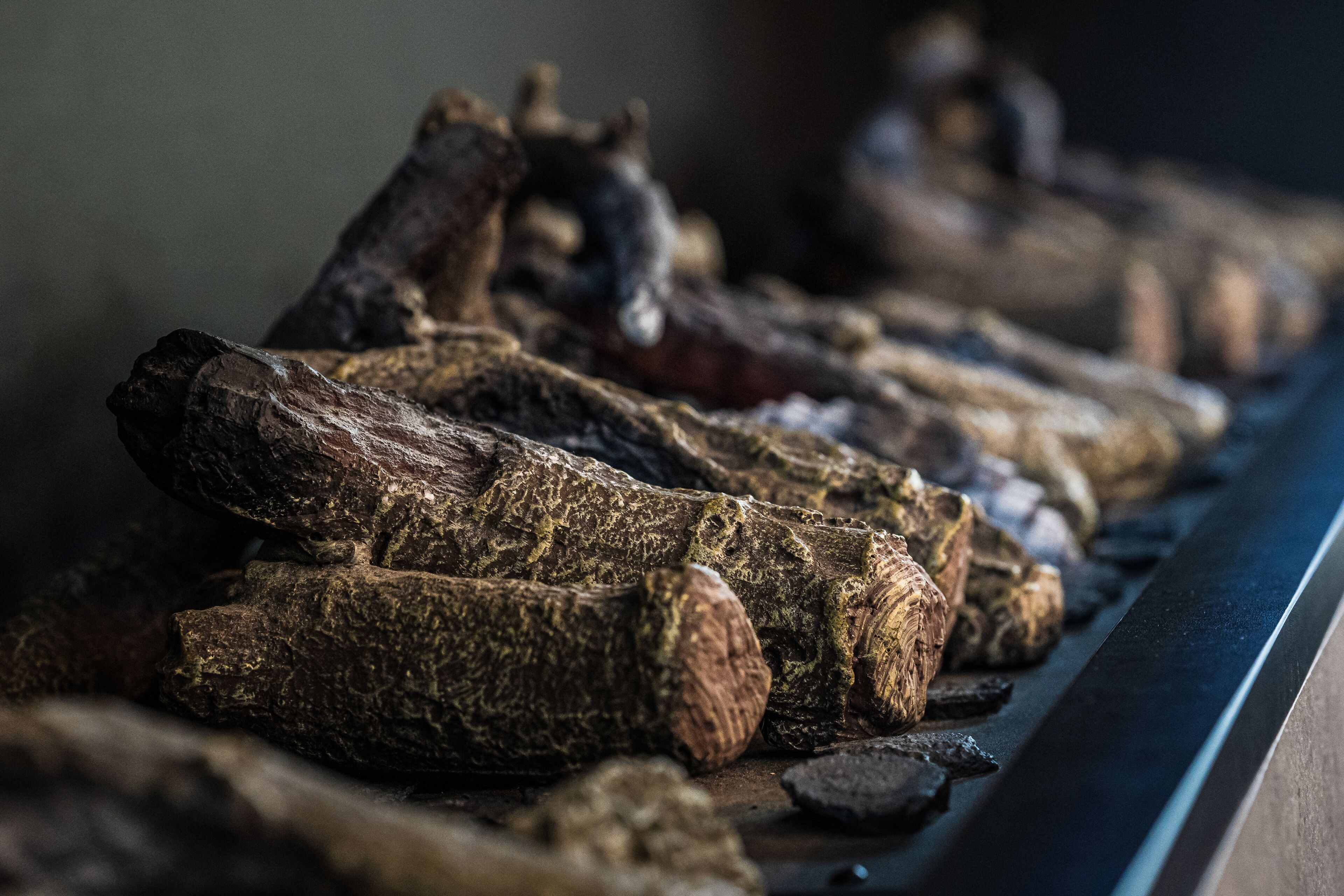 A close-up of logs on a conveyor belt.