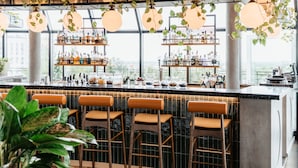 A bar area with multiple shelves of bottles, bar stools, and hanging plants. - Wasserturm Hotel Cologne, Curio Collection by Hilton (Cologne)