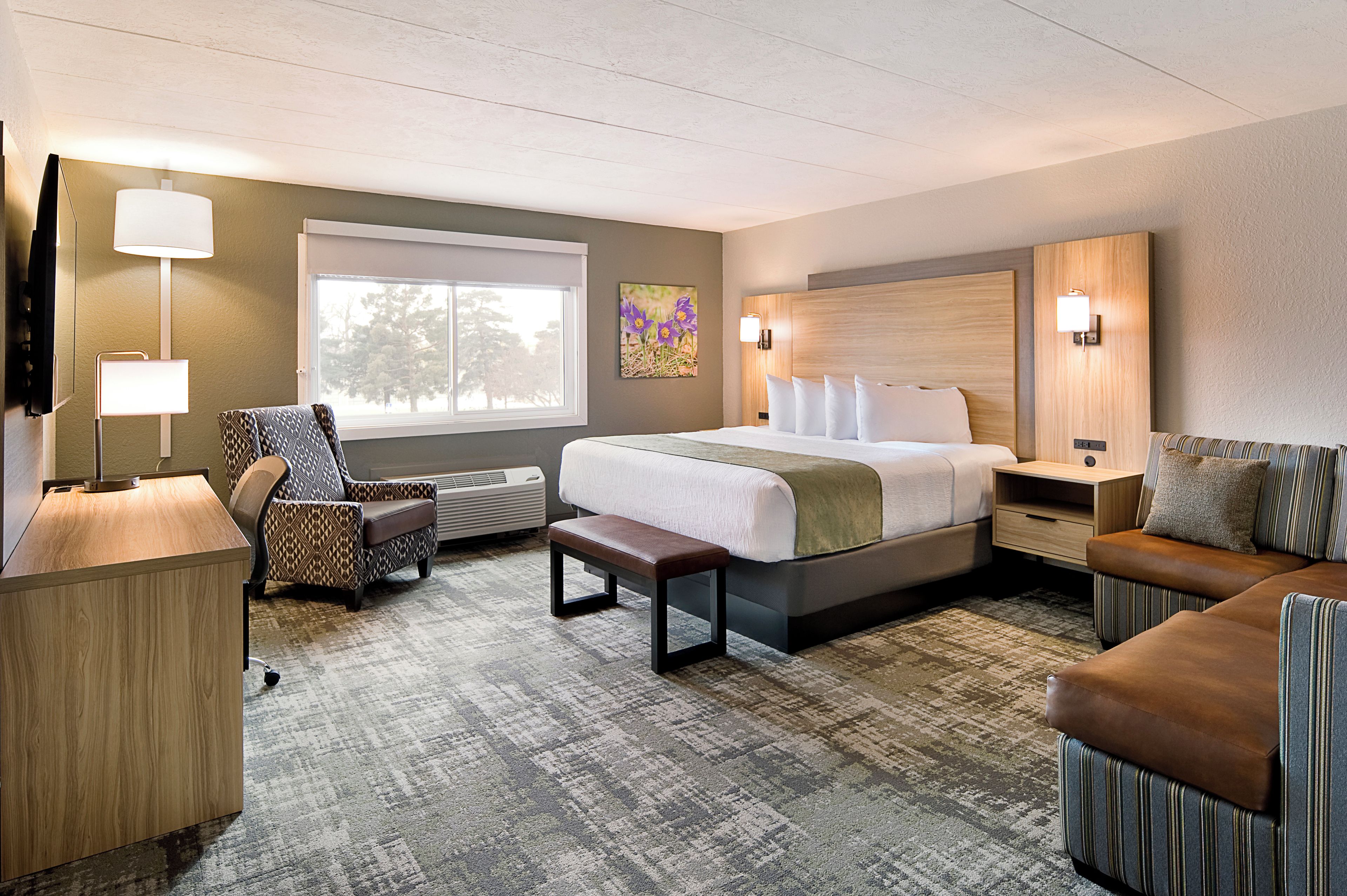 A hotel room with a bed, two armchairs, a bench, a desk, and a window with a view of trees.