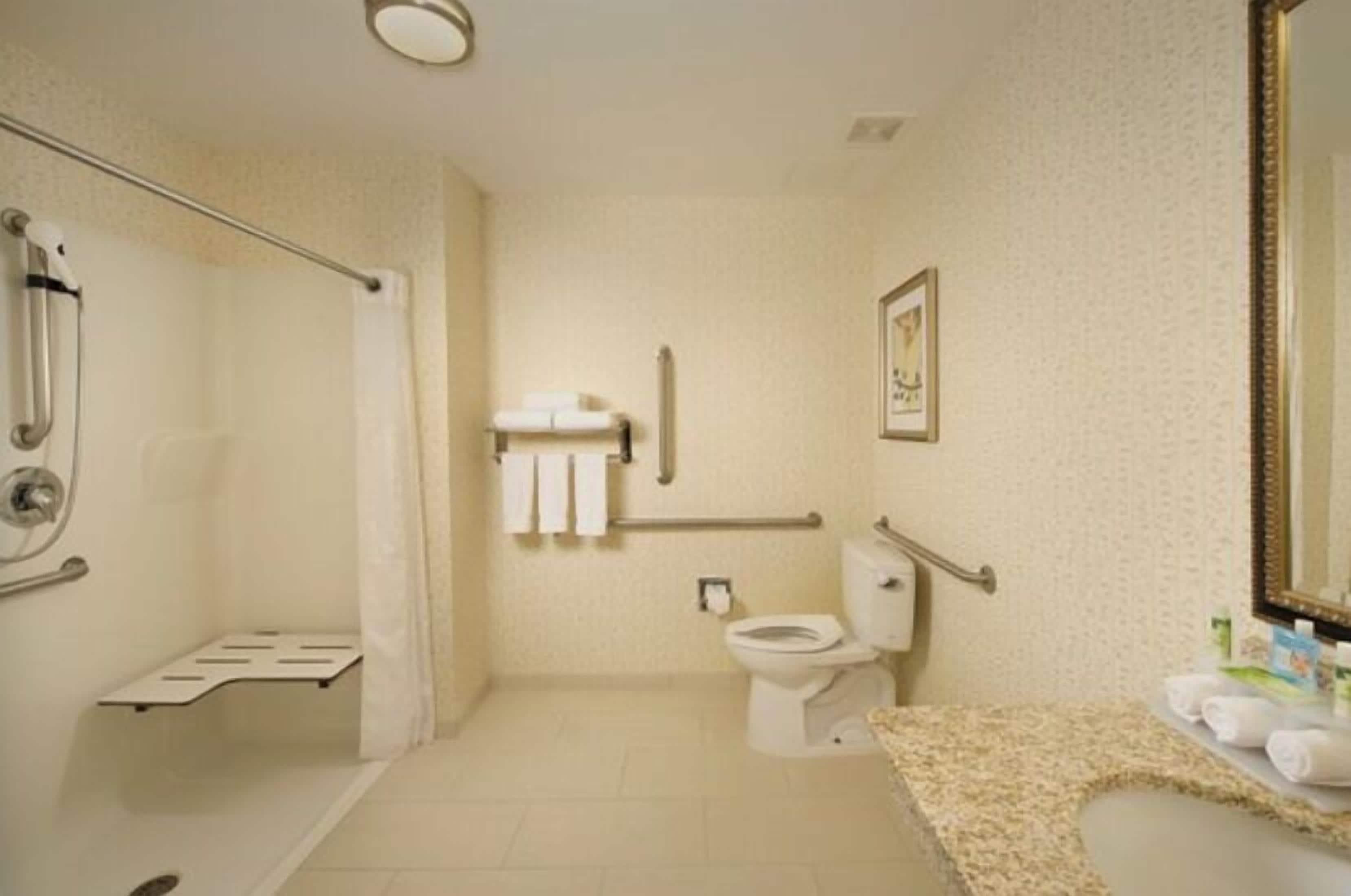 standard room, 1 king bed, roll-in shower (communications accessible) | bathroom | combined shower/bathtub, free toiletries, hair dryer, towels