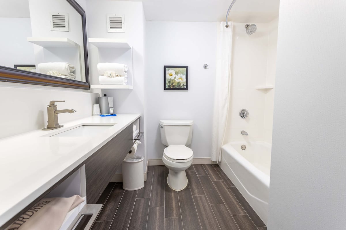 combined shower/bathtub, free toiletries, hair dryer, towels