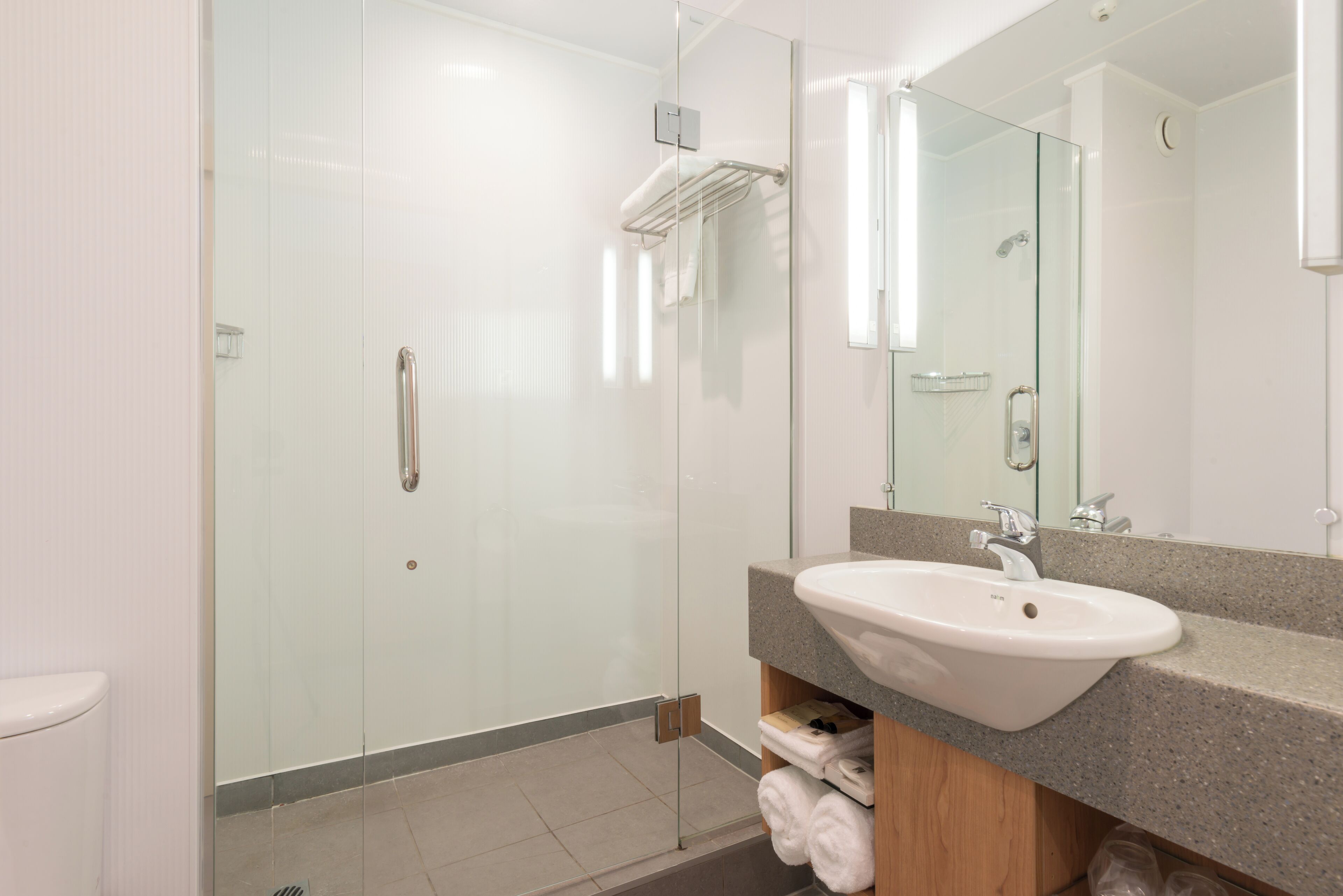 A modern bathroom with a glass shower enclosure, a white sink, and a large mirror.