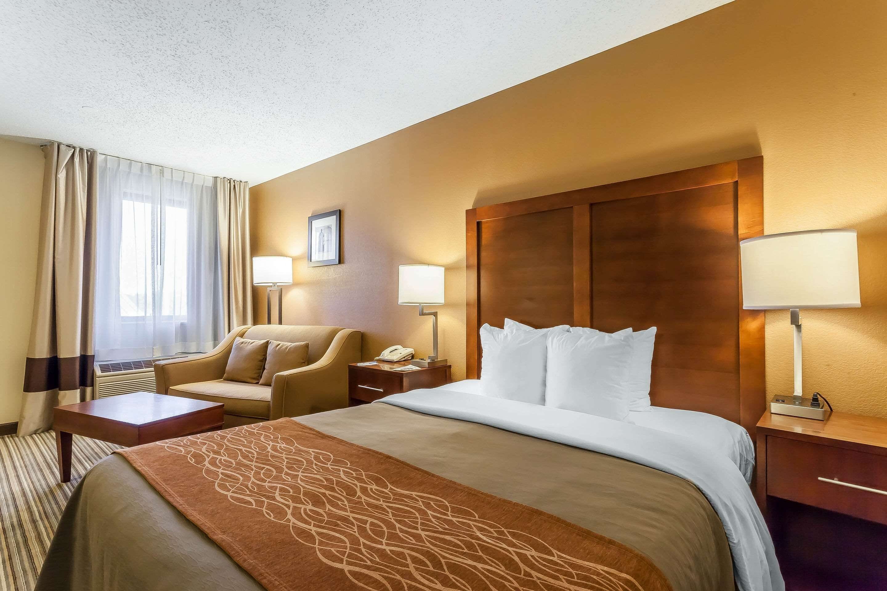 A hotel room with a large bed, a sofa, a desk, and a nightstand with lamps.
