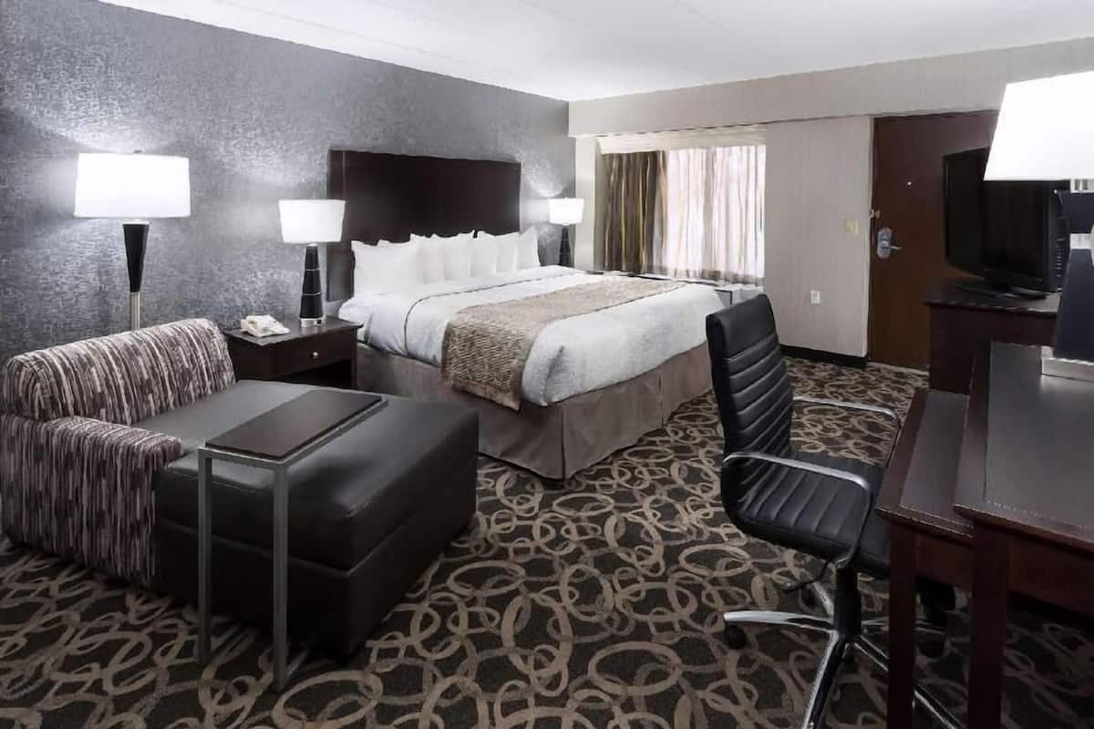A hotel room with a bed, a sofa, a chair, a desk, and a television.