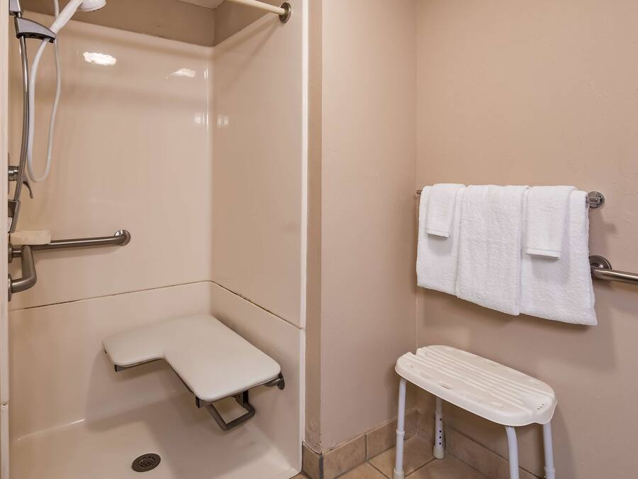 A bathroom with a shower, a toilet, a grab bar, and a small step stool.