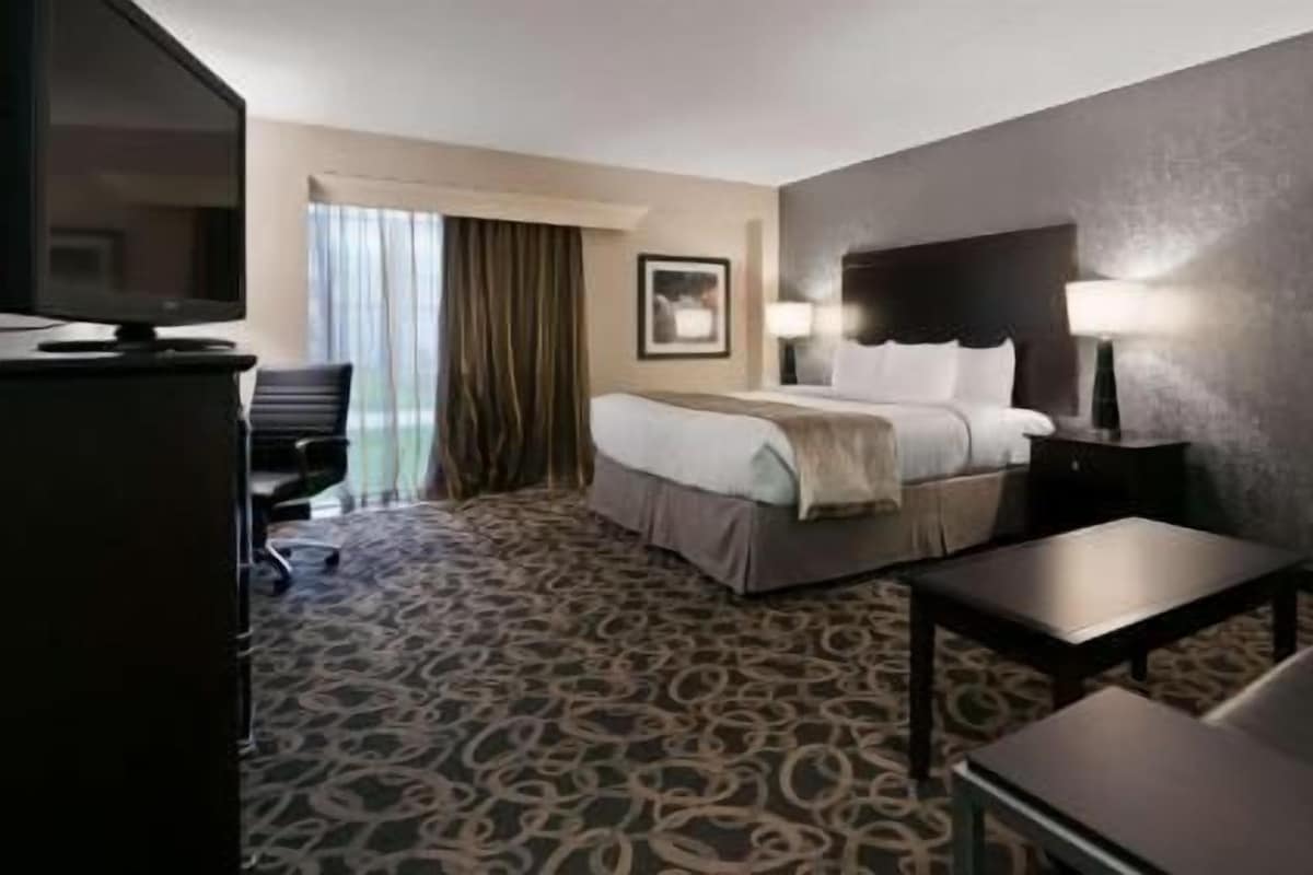 A hotel room with a bed, a desk, a chair, a television, and a window with curtains.