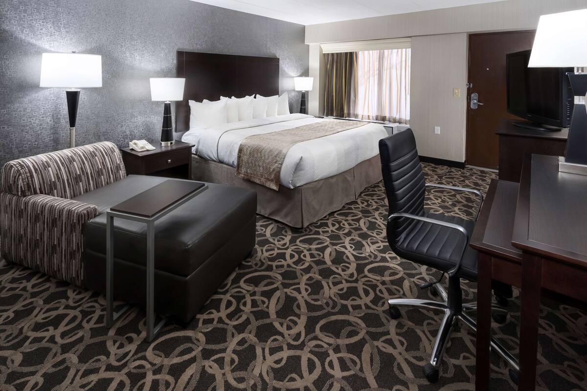 A hotel room with a bed, a sofa, a desk, a chair, and a television.
