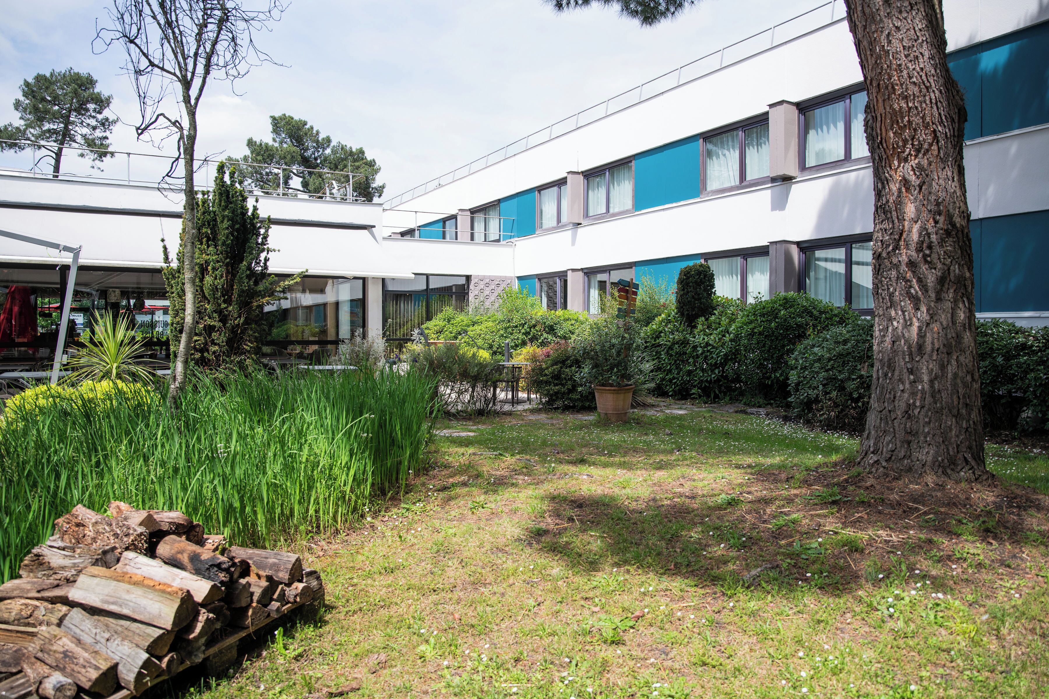 A modern building with a courtyard featuring a tree, a log pile, and various plants.