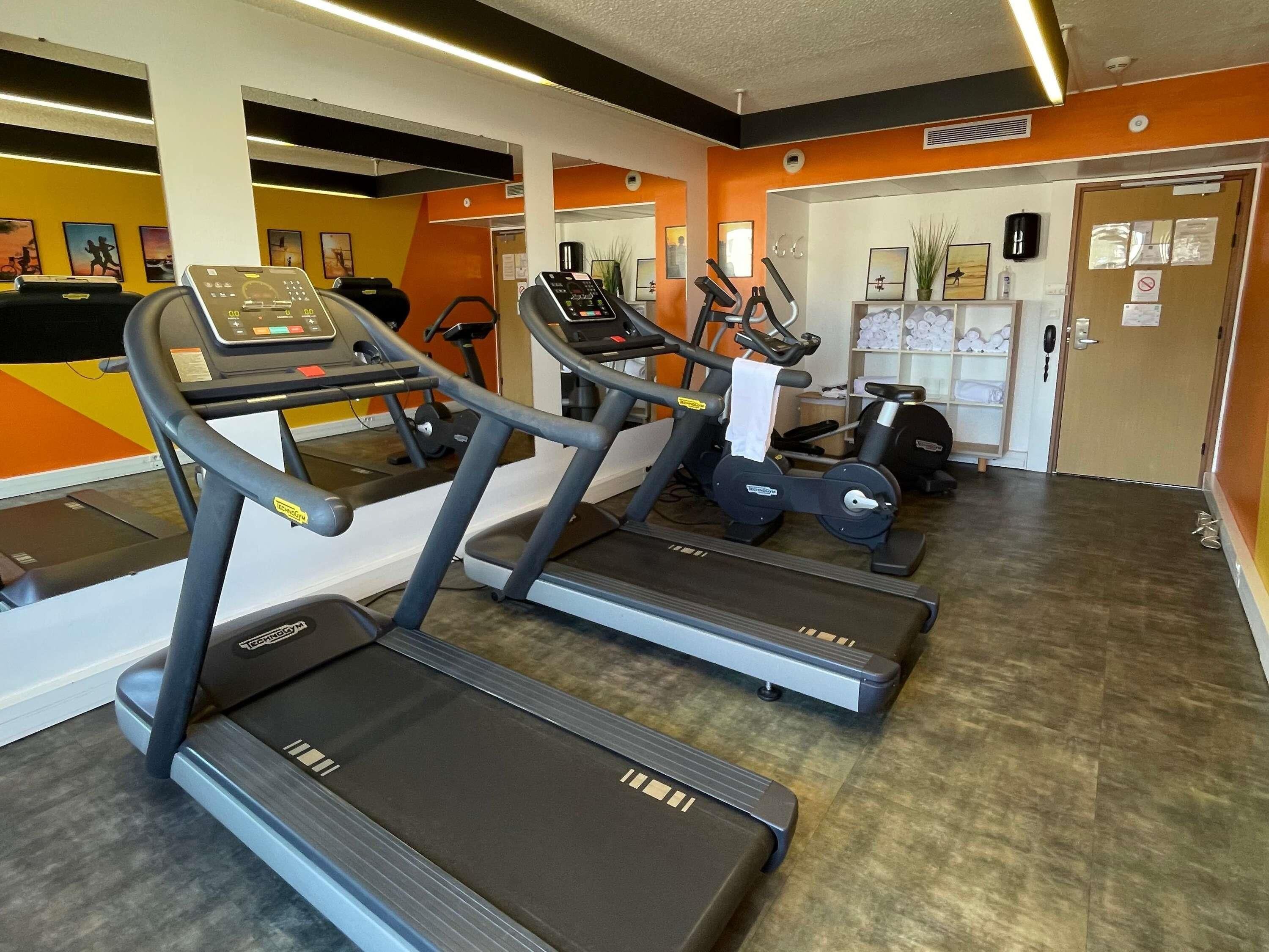 A gym with treadmills, stationary bikes, and a weight bench.