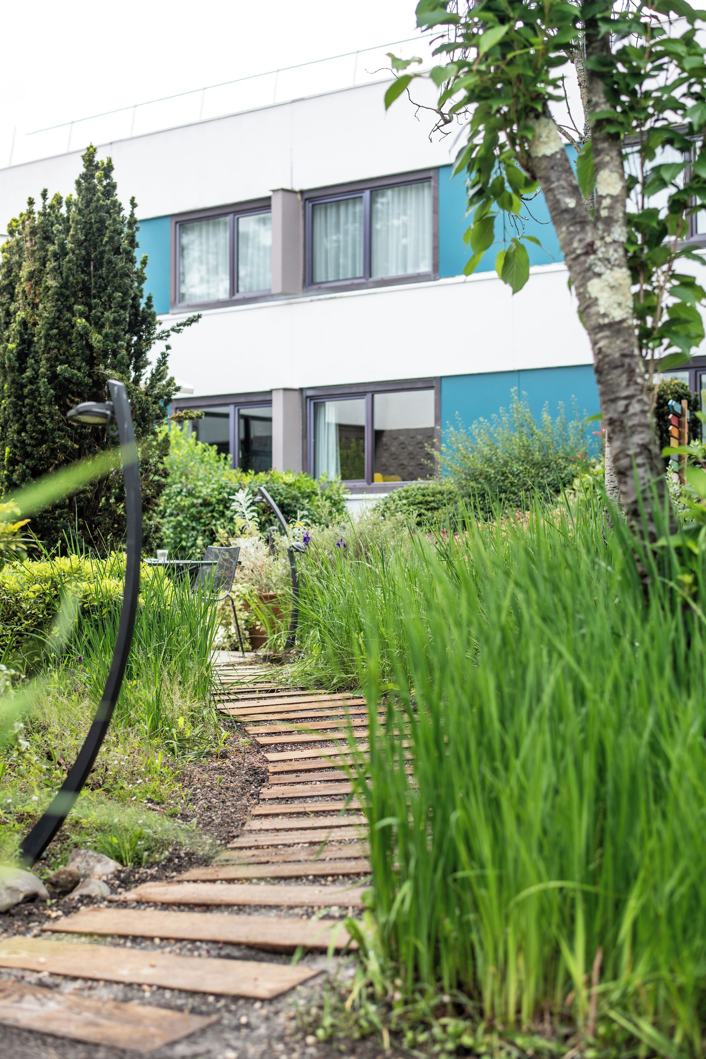 A pathway leading to a modern building with a blue and white facade, surrounded by lush greenery and a tall tree.
