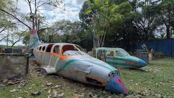 A damaged airplane with colorful paint, lying on grass surrounded by trees.