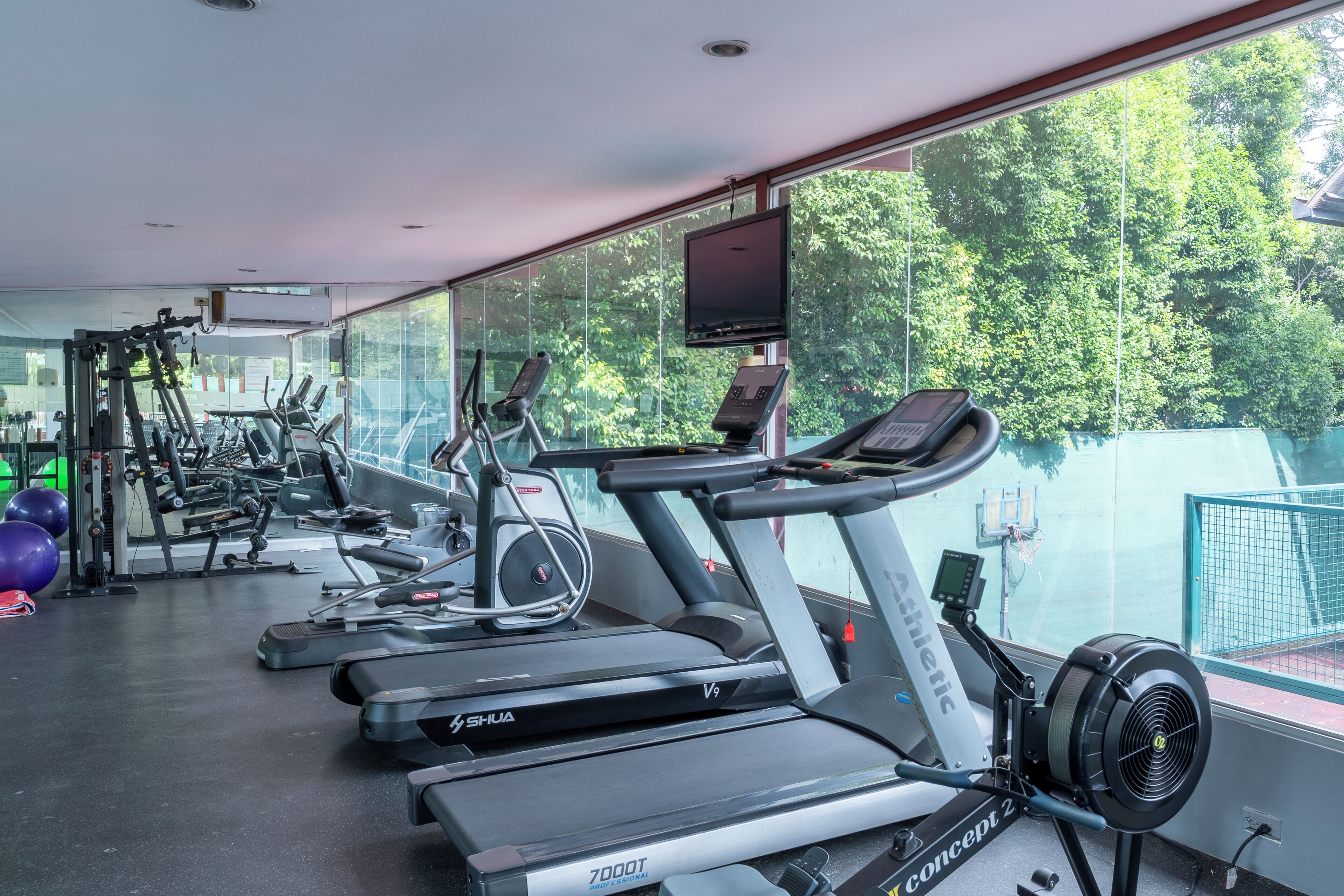 Gimnasio