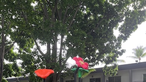 Un parque infantil con toboganes y estructuras para escalar.