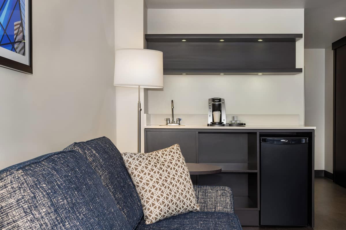 Suite, 1 King Bed, City View | Room amenity