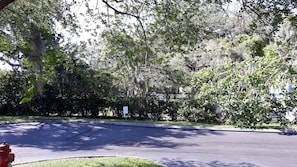 Lake view